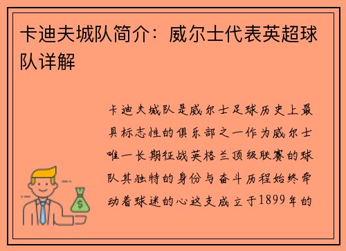 卡迪夫城队简介：威尔士代表英超球队详解