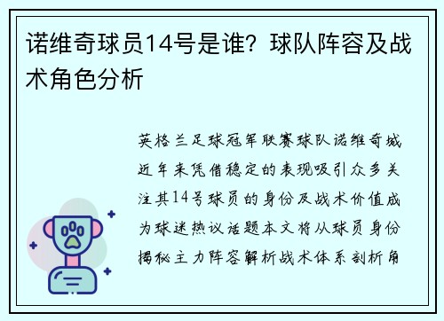 诺维奇球员14号是谁？球队阵容及战术角色分析