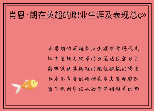 肖恩·朗在英超的职业生涯及表现总结