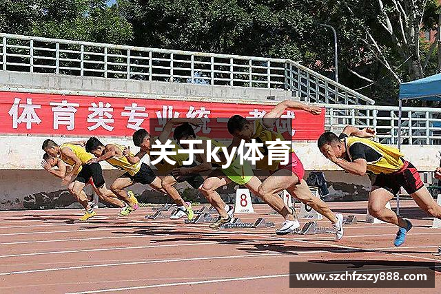 关于ky体育